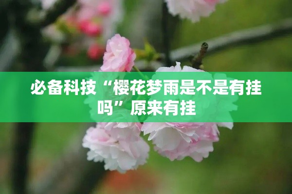 必备科技“樱花梦雨是不是有挂吗”原来有挂