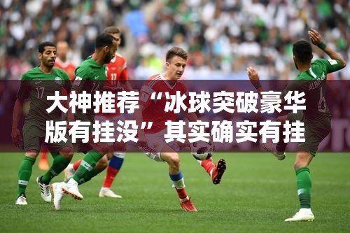 大神推荐“冰球突破豪华版有挂没”其实确实有挂