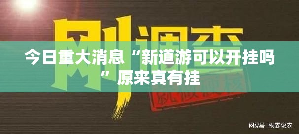 今日重大消息“新道游可以开挂吗”原来真有挂