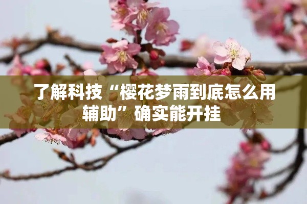 了解科技“樱花梦雨到底怎么用辅助”确实能开挂 
