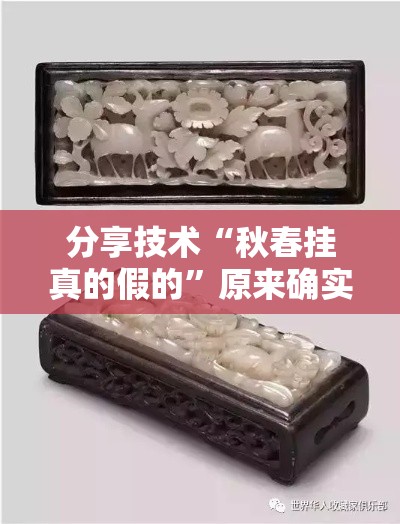 分享技术“秋春挂真的假的”原来确实有挂