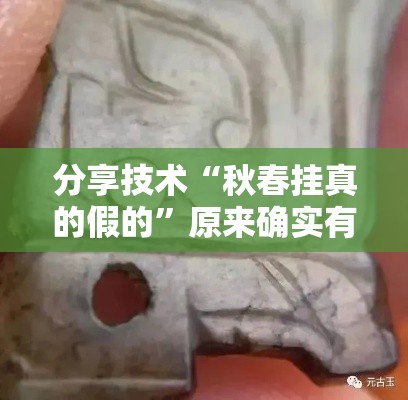 分享技术“秋春挂真的假的”原来确实有挂