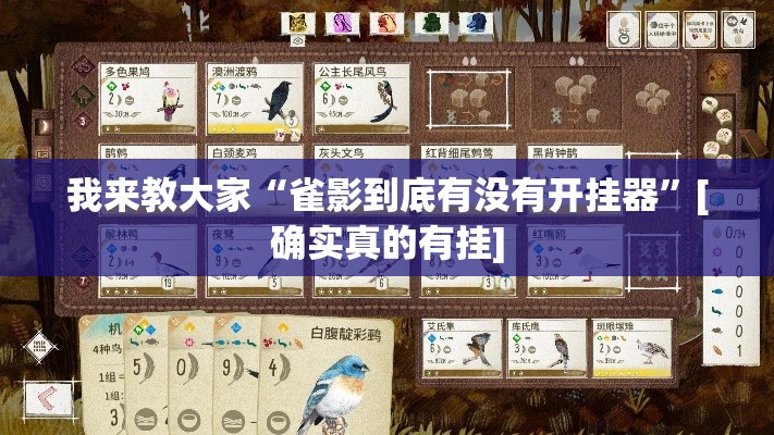 我来教大家“雀影到底有没有开挂器”[确实真的有挂]