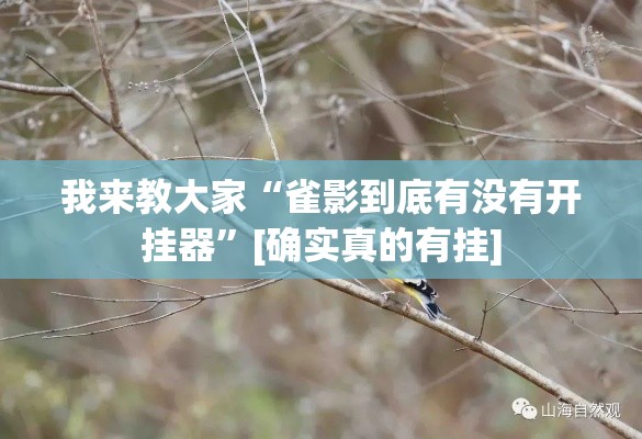 我来教大家“雀影到底有没有开挂器”[确实真的有挂]