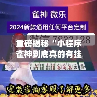 重磅揭秘“小程序雀神到底真的有挂吗”(确实有挂)