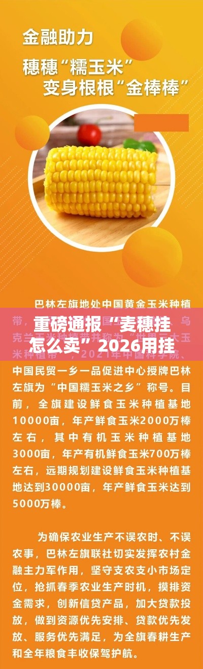 重磅通报“麦穗挂怎么卖	”2026用挂