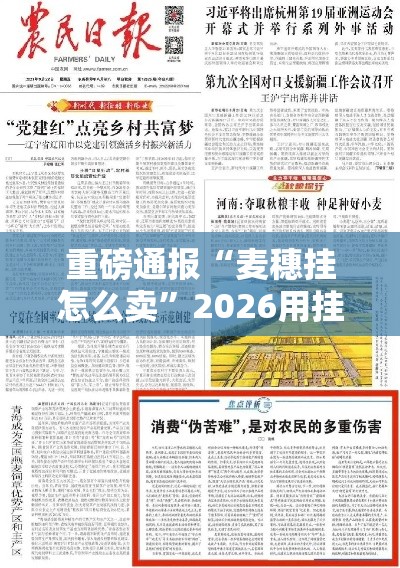 重磅通报“麦穗挂怎么卖”2026用挂