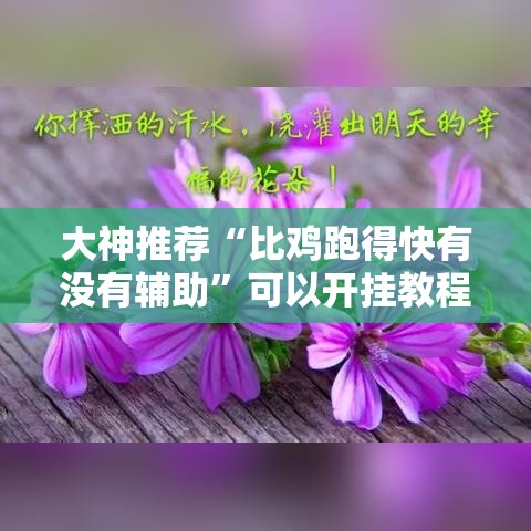 大神推荐“比鸡跑得快有没有辅助”可以开挂教程