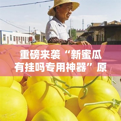 重磅来袭“新蜜瓜有挂吗专用神器”原来是真的有