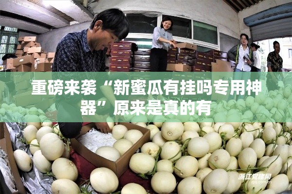重磅来袭“新蜜瓜有挂吗专用神器”原来是真的有