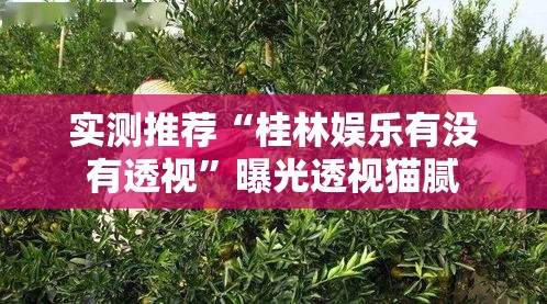 实测推荐“桂林娱乐有没有透视”曝光透视猫腻