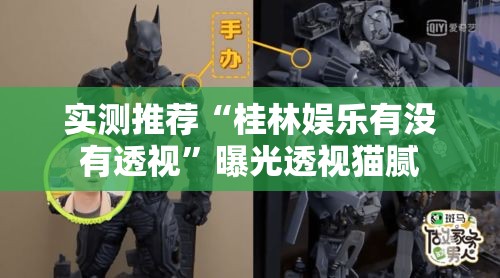 实测推荐“桂林娱乐有没有透视”曝光透视猫腻
