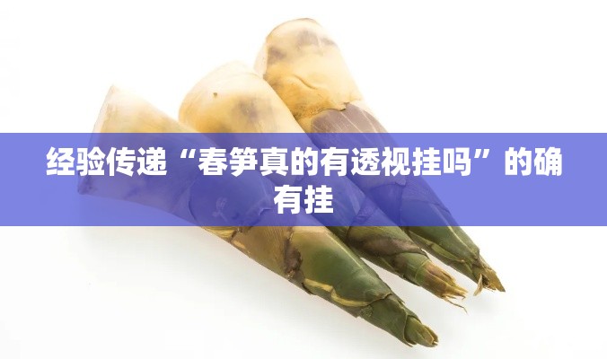 经验传递“春笋真的有透视挂吗	”的确有挂