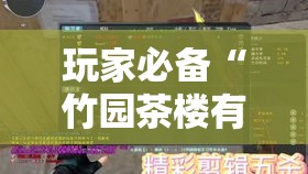 玩家必备“竹园茶楼有没有辅助工具”事实上真的有挂