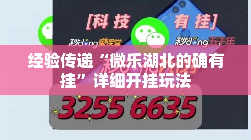 经验传递“微乐湖北的确有挂”详细开挂玩法