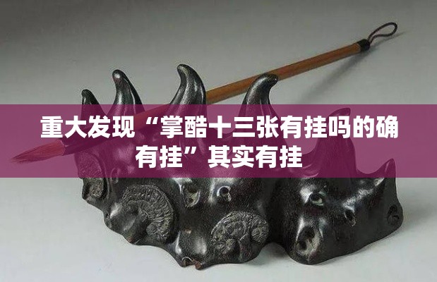 重大发现“掌酷十三张有挂吗的确有挂”其实有挂