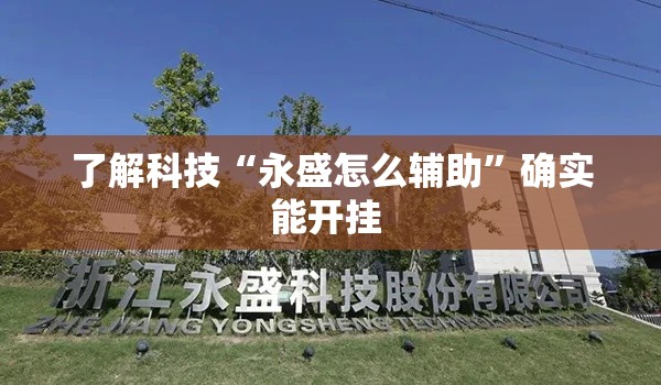 了解科技“永盛怎么辅助”确实能开挂 