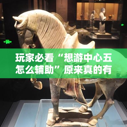 玩家必看“想游中心五怎么辅助”原来真的有挂