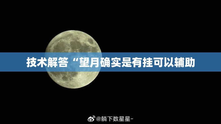 技术解答“望月确实是有挂可以辅助