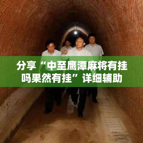 分享“中至鹰潭麻将有挂吗果然有挂	”详细辅助