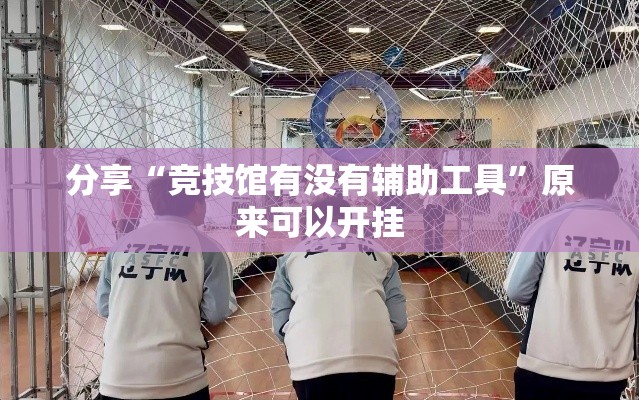 分享“竞技馆有没有辅助工具	”原来可以开挂