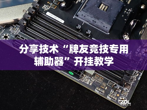 分享技术“牌友竞技专用辅助器	”开挂教学