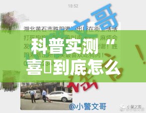 科普实测“喜園到底怎么开挂”事实上确实有挂