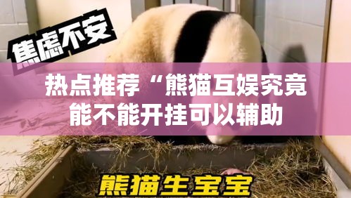 热点推荐“熊猫互娱究竟能不能开挂可以辅助