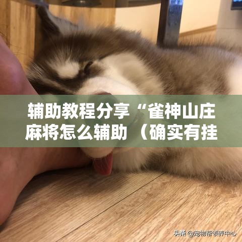辅助教程分享“雀神山庄麻将怎么辅助 (确实有挂) 辅助教程分享“雀神山庄麻将怎么辅助 (确实有挂)