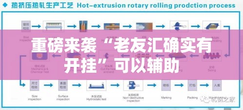 重磅来袭“老友汇确实有开挂”可以辅助