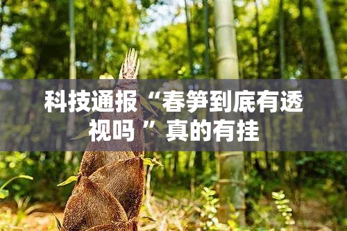 科技通报“春笋到底有透视吗 ”真的有挂