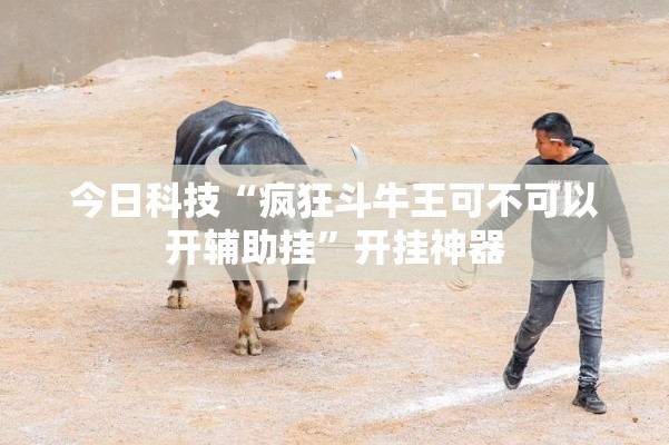 今日科技“疯狂斗牛王可不可以开辅助挂”开挂神器