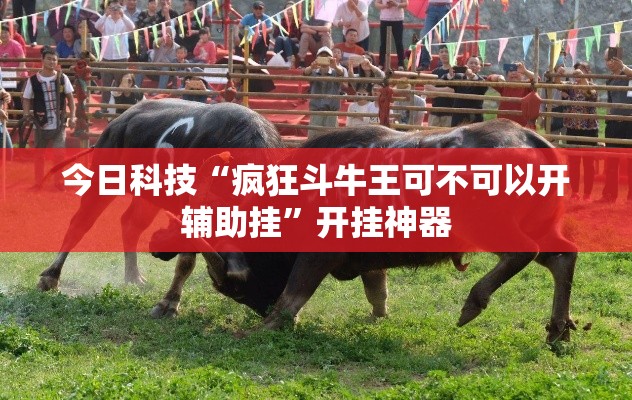 今日科技“疯狂斗牛王可不可以开辅助挂”开挂神器