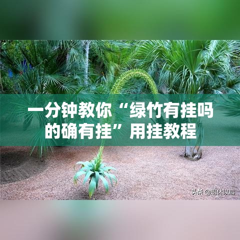 一分钟教你“绿竹有挂吗的确有挂	”用挂教程