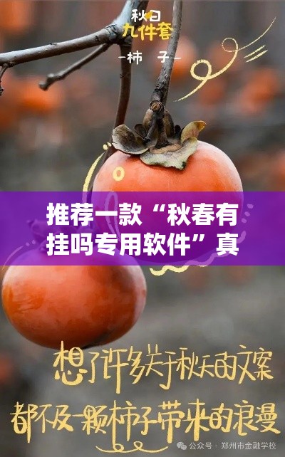 推荐一款“秋春有挂吗专用软件”真可以装挂