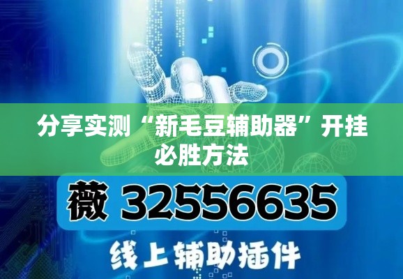分享实测“新毛豆辅助器”开挂必胜方法