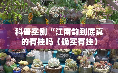 科普实测“江南韵到底真的有挂吗（确实有挂）