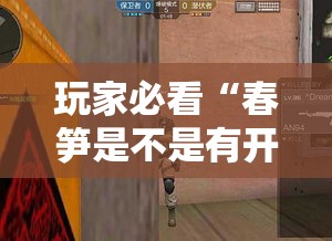 玩家必看“春笋是不是有开挂	”开挂步骤方法