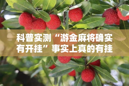 科普实测“游金麻将确实有开挂”事实上真的有挂