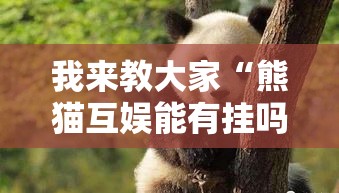 我来教大家“熊猫互娱能有挂吗”真可以装挂