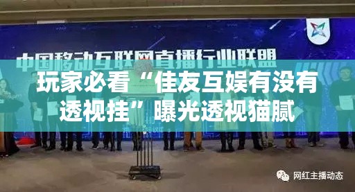 玩家必看“佳友互娱有没有透视挂”曝光透视猫腻