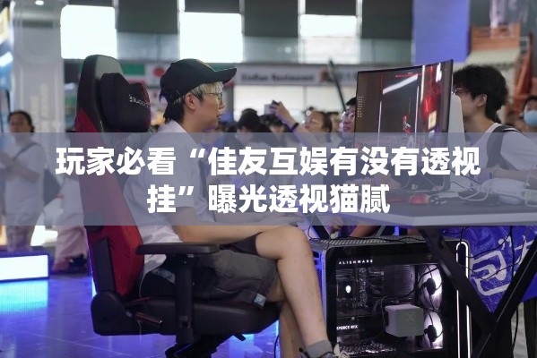 玩家必看“佳友互娱有没有透视挂”曝光透视猫腻