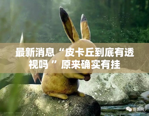 最新消息“皮卡丘到底有透视吗 ”原来确实有挂