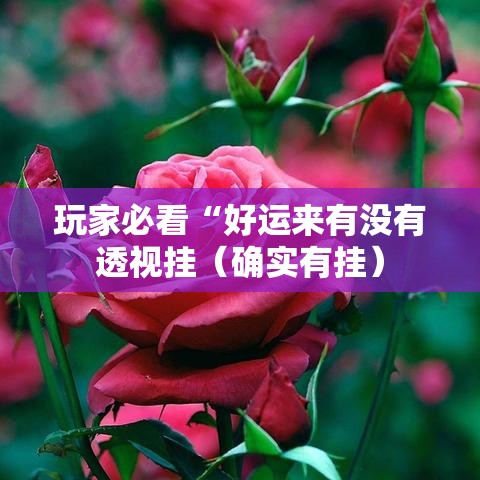 玩家必看“好运来有没有透视挂(确实有挂) 玩家必看“好运来有没有透视挂(确实有挂)