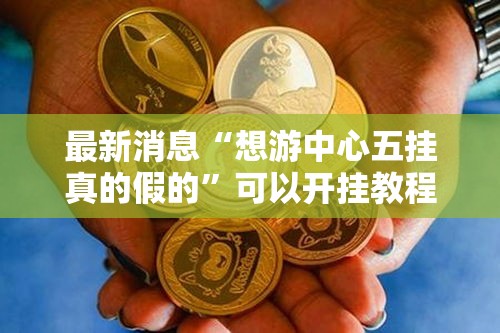 最新消息“想游中心五挂真的假的”可以开挂教程