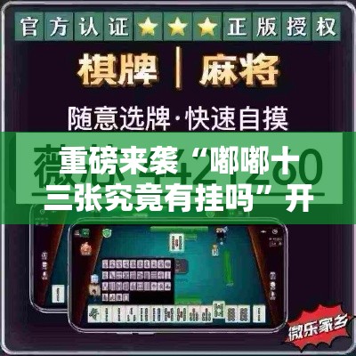 重磅来袭“嘟嘟十三张究竟有挂吗	”开挂步骤方法