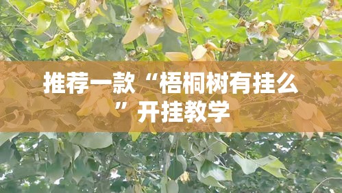 推荐一款“梧桐树有挂么”开挂教学