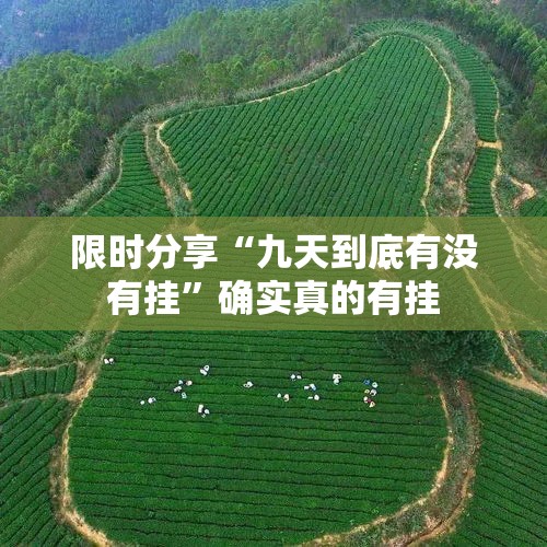 限时分享“九天到底有没有挂”确实真的有挂