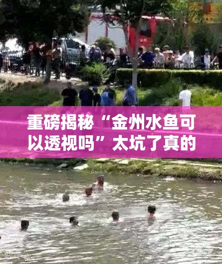 重磅揭秘“金州水鱼可以透视吗”太坑了真的有挂