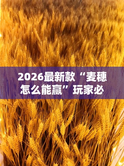 2026最新款“麦穗怎么能赢”玩家必备神器